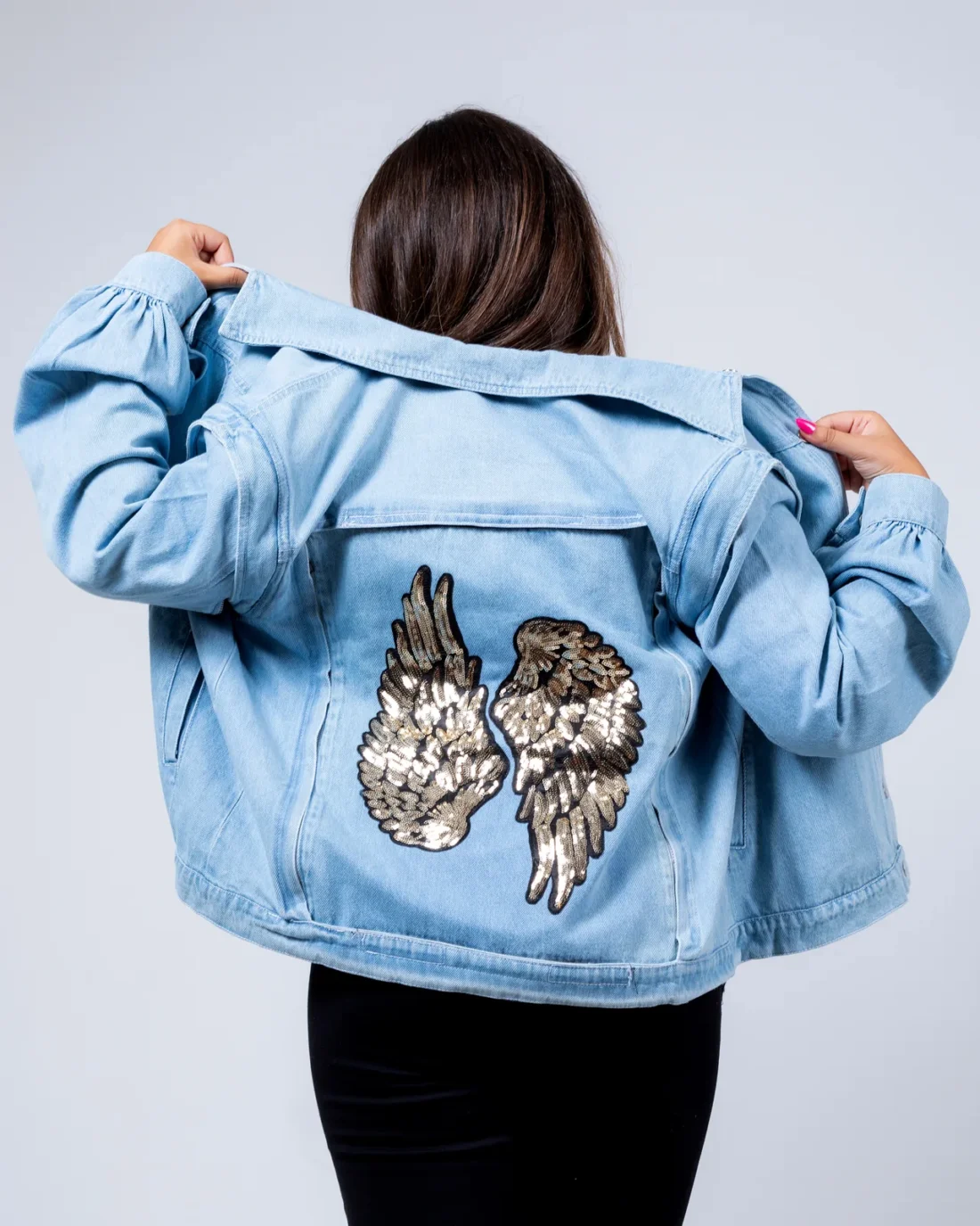 Wings Back, photo 4